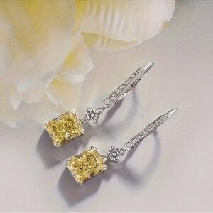 NWT Elegant Silver and Yellow Gemstone Earrings